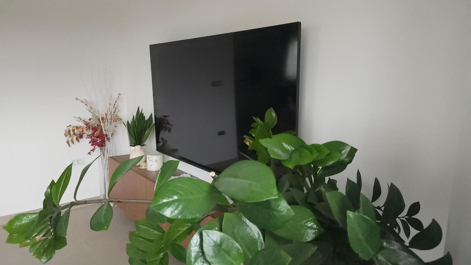 Apartmán Viktoria *